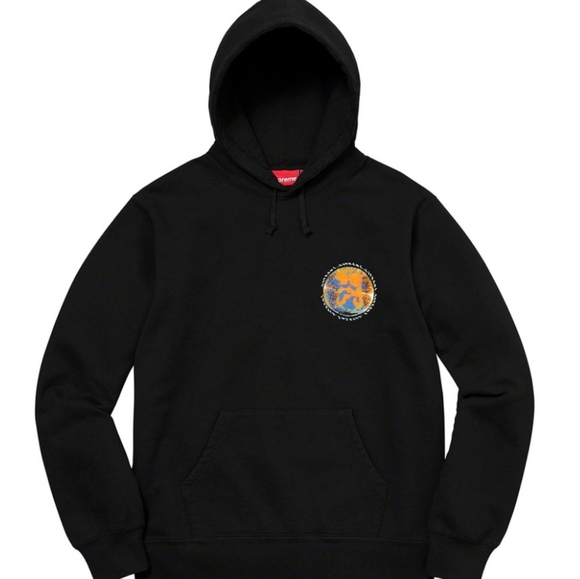 Supreme Embryo Hoodie Sweatshirt - Picture 3 of 9